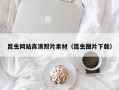 开封昆虫网站高清照片素材（昆虫图片下载）
